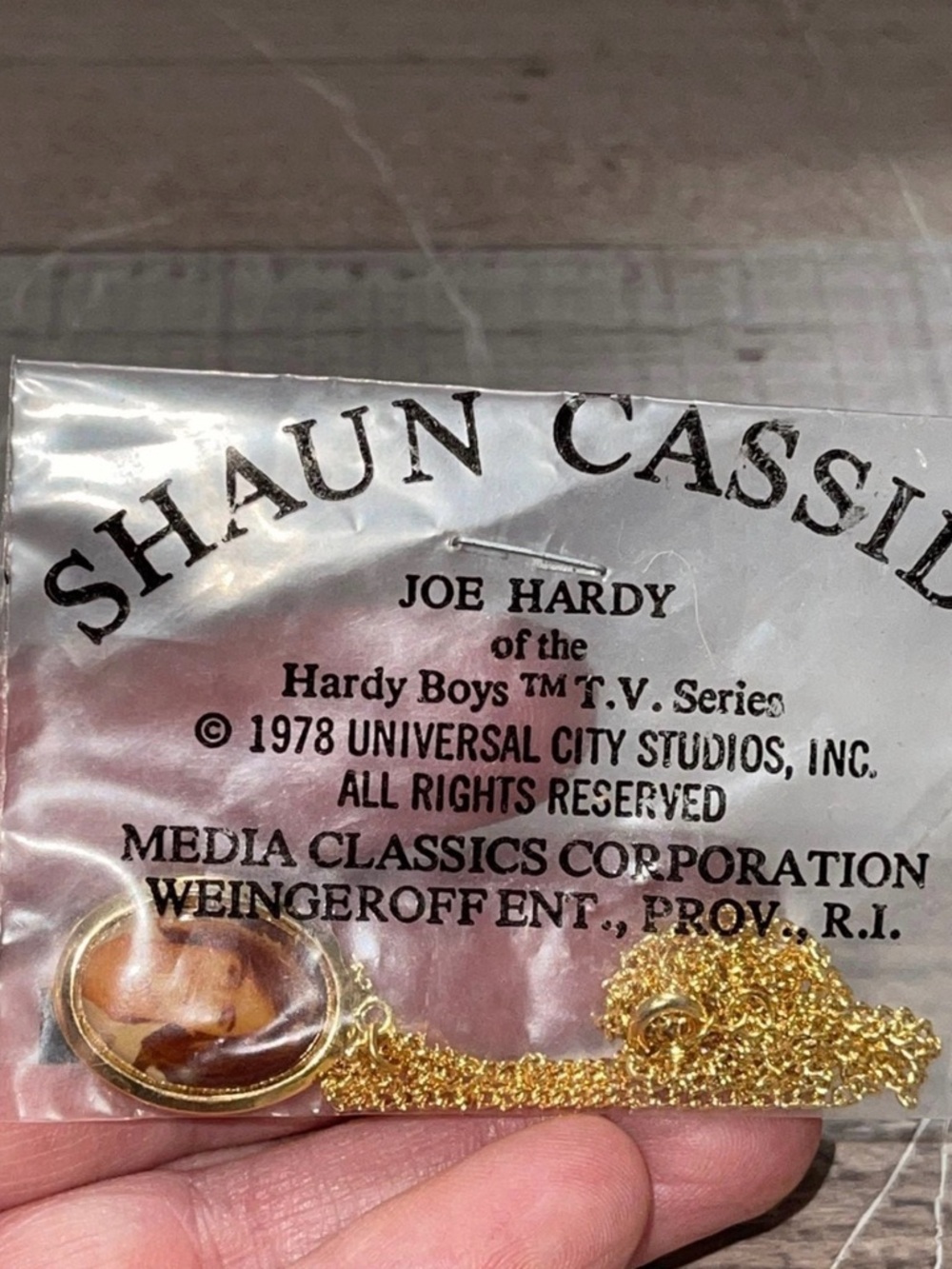 New Vintage 1978 Shaun Cassidy Necklace Hardy Boys T. V. Series Joe Hardy